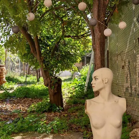 Backyard Art